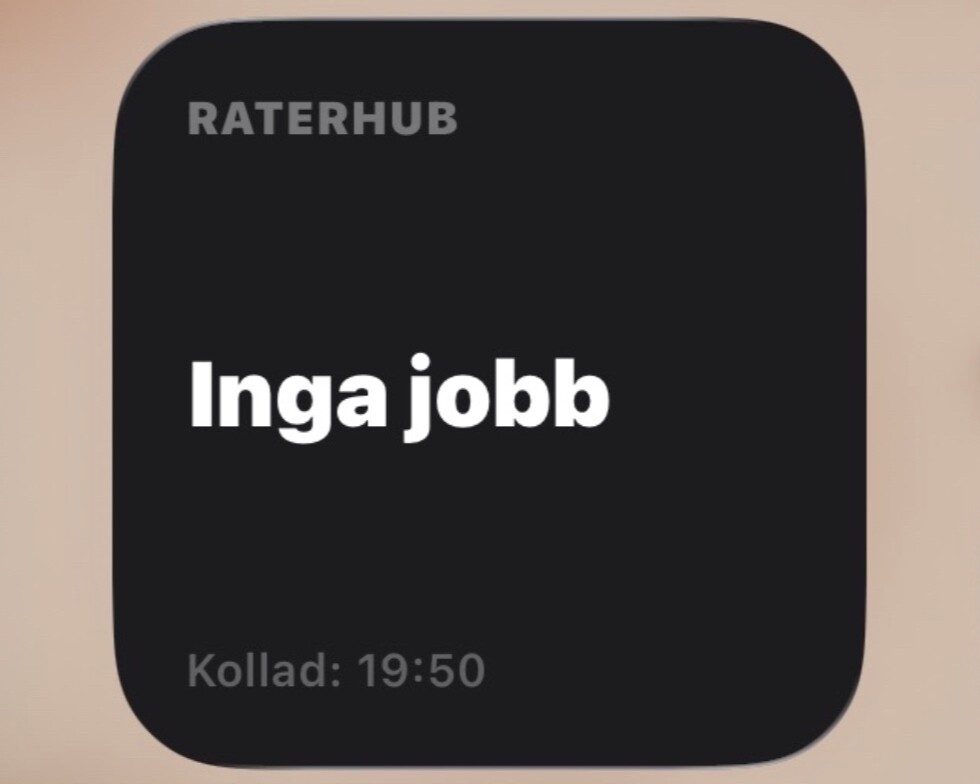 Phone home screen widget showing RaterHub status and last checked time
